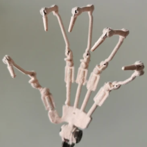 Bewegliche Fingerknochen